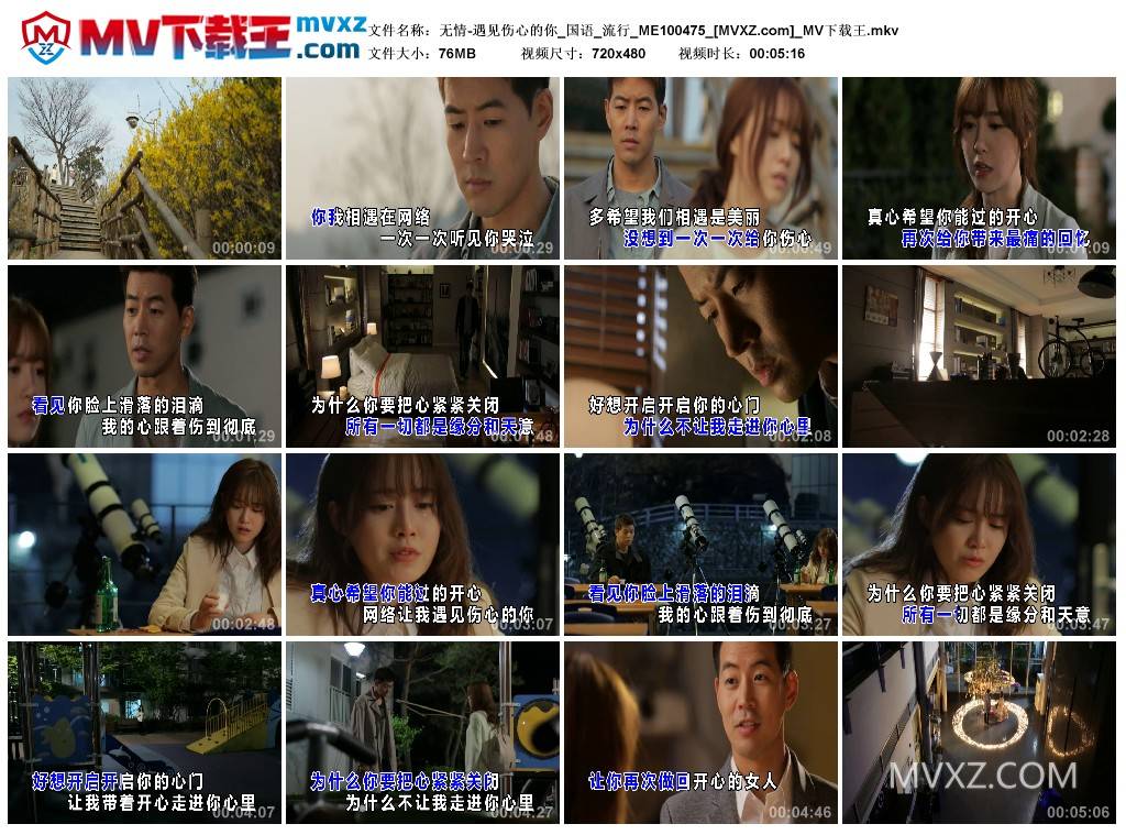 无情-遇见伤心的你_国语_流行_ME100475